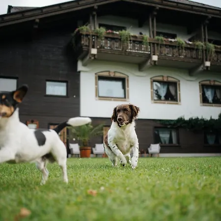 Waidblick דירה לדניצן