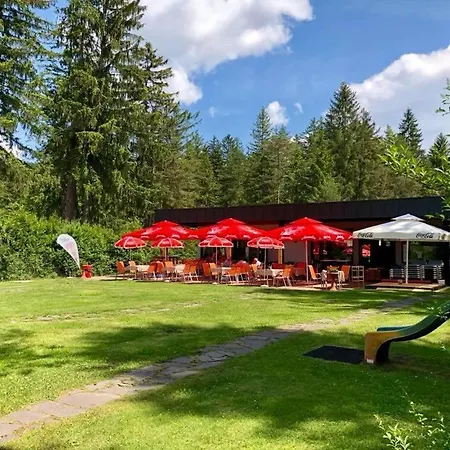 Waidblick * לדניצן